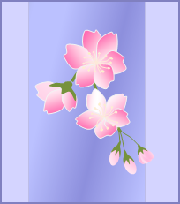 sakura20113.png