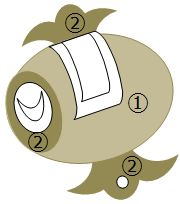 WS013.JPG