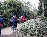 pic00008-w600.jpg