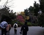 pic00015-w600.jpg