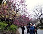 pic00017-w600.jpg