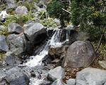 pic00045-w600.jpg