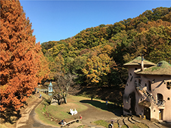 あけぼの子どもの森公園