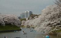 image066.jpg