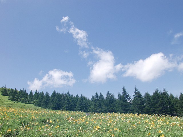 P7211844.JPG