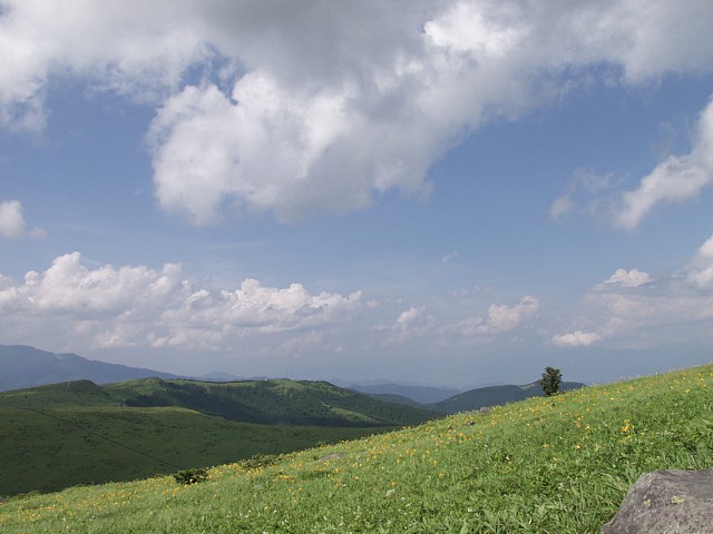 P7211910.JPG
