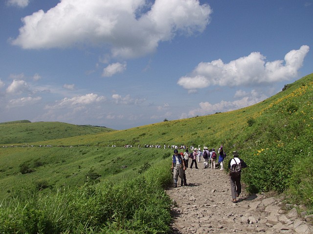 P7211951.JPG
