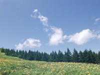 P7211844