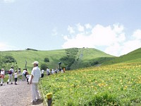 P7211845