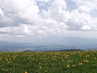 P7211923