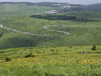 P7211926