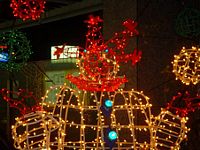 DSC00471-w640