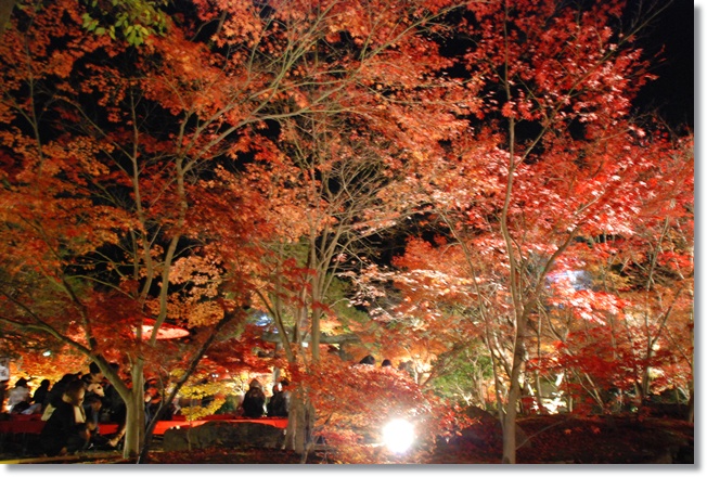 by ichigo