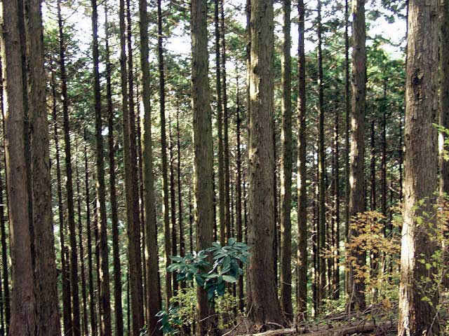 PB261184-640.jpg