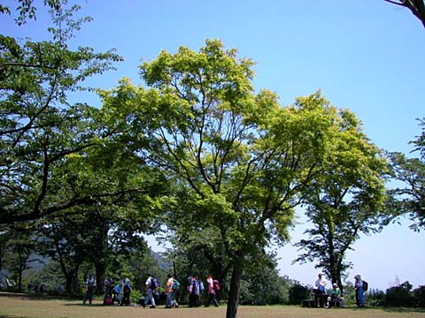 photo05.jpg