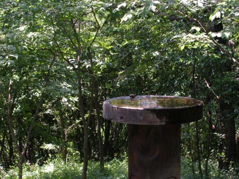 photo10.jpg